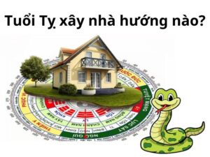 Tuổi Tỵ nên xây nhà hướng nào