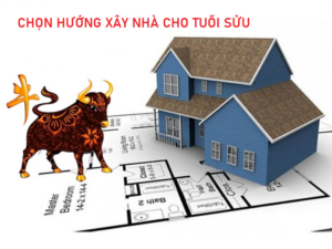 chọn hướng nhà xây cho tuổi sửu