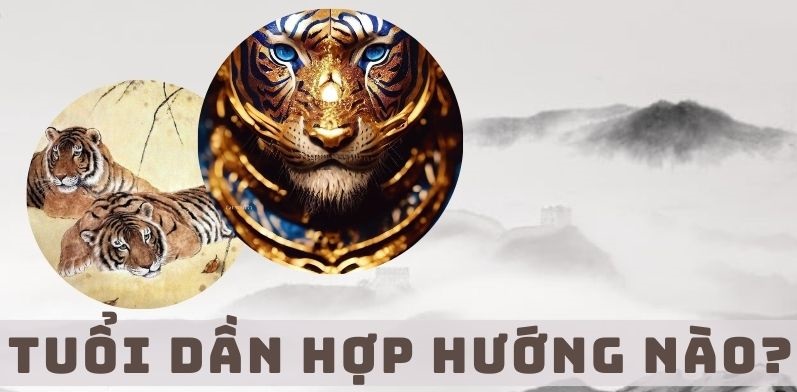 tuoi dan hop huong nao