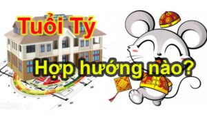 tuoi ty hop huong nao