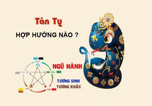 tuoi ty hop huong nao