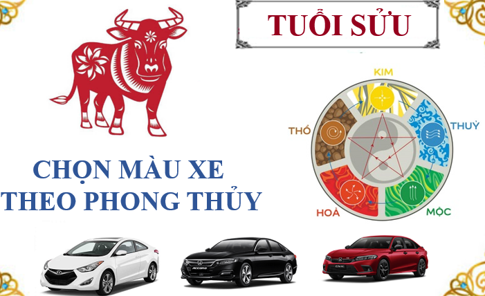 mua xe hop phong thuy cho tuoi suu