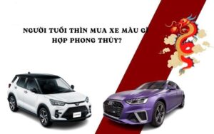 nguoi tuoi thin nen mua xe mau gi