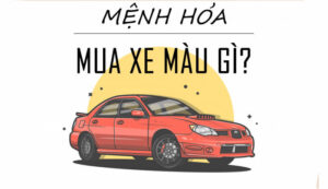 menh-hoa-nen-mua-xe-mau-gi