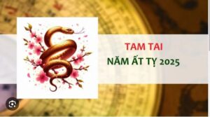 nam-2025-tuoi-nao-pham-tam-tai