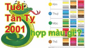 tuoi tan ty 2001 hop mau gi