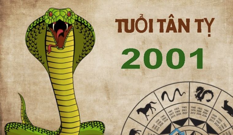 tuoi tan ty 2001