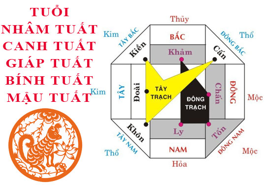 Tuổi Tuất nên xây nhà hướng nào